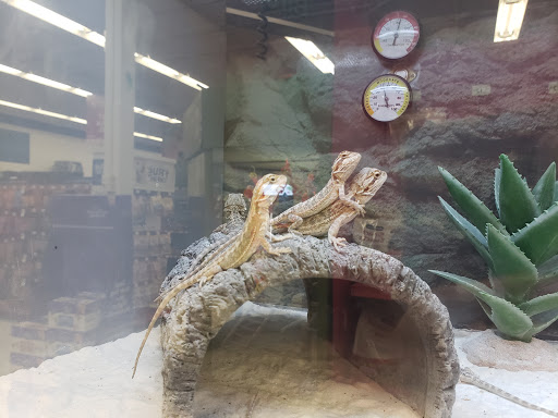 Pet Supply Store «Petco Animal Supplies», reviews and photos, 13127 N Dale Mabry Hwy, Tampa, FL 33618, USA