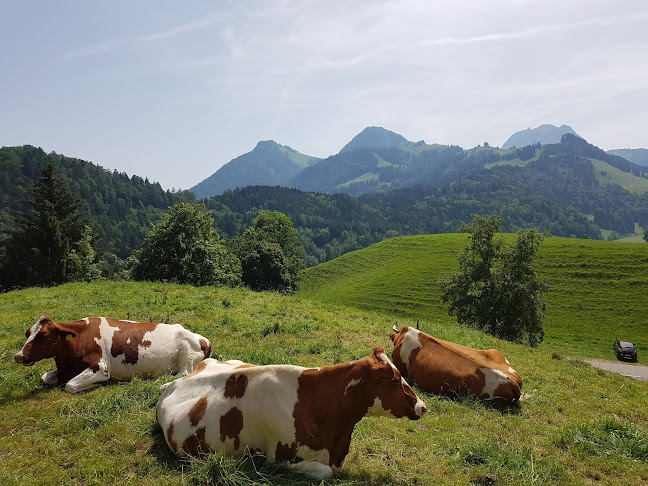 Rue du Bourg 2-40, 1663 Gruyères, Schweiz