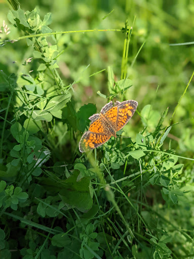 Nature Preserve «Vermillion Highlands», reviews and photos, 15325 Babcock Ave E, Rosemount, MN 55068, USA