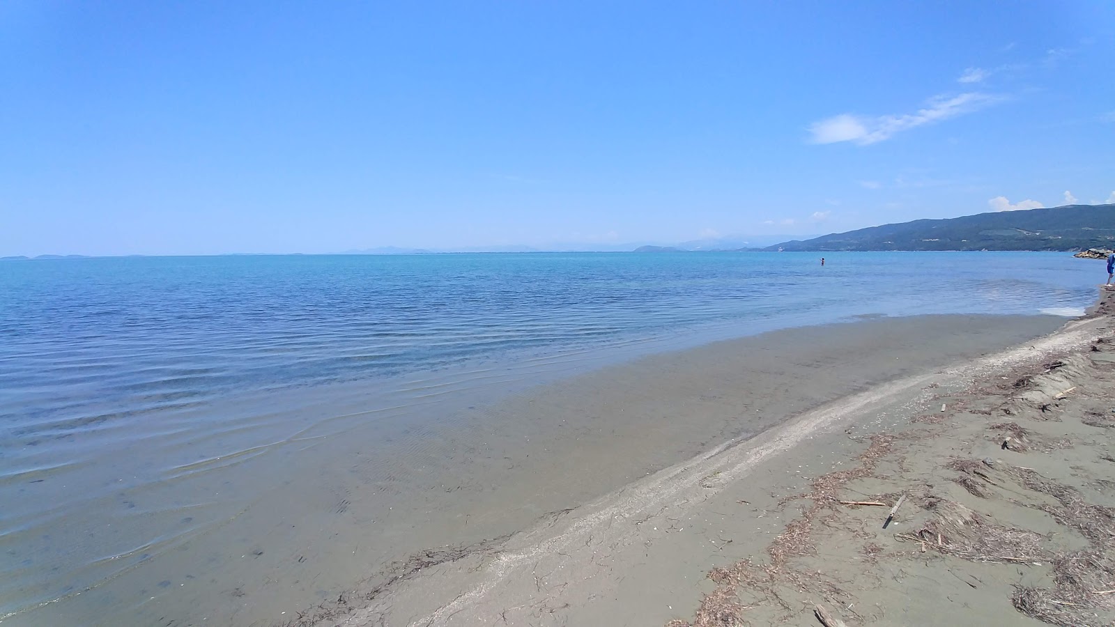 Zdjęcie Spring beach z powierzchnią brązowy piasek