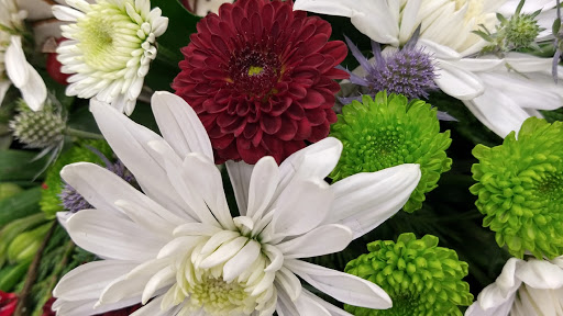 Florist «Eureka Florist», reviews and photos, 524 Henderson St, Eureka, CA 95501, USA