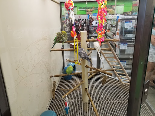 Pet Supply Store «Petco Animal Supplies», reviews and photos, 3551 W Hillsboro Blvd, Deerfield Beach, FL 33442, USA