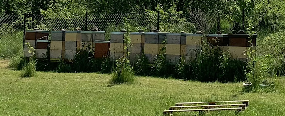Včely Krtek