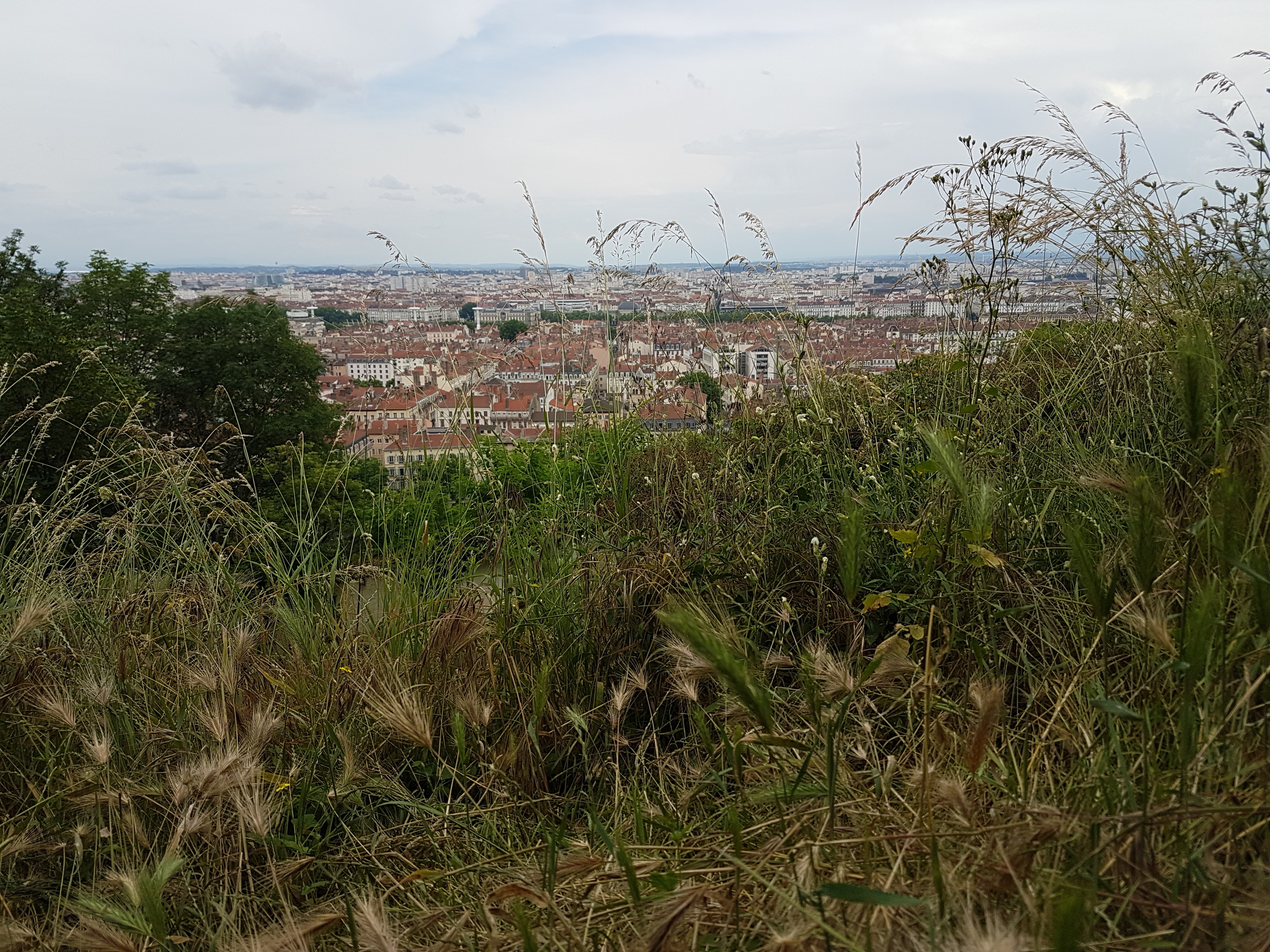 Photo n° 4 de l'avis de Chris.a fait le 03/06/2018 à 16:21