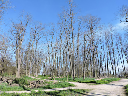 Nature Preserve «Midewin National Tallgrass Prairie», reviews and photos, 30239 S. State Route 53, Wilmington, IL 60481, USA