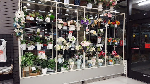 Craft Store «Michaels», reviews and photos, 6120 Birdcage Centre Ln, Citrus Heights, CA 95610, USA