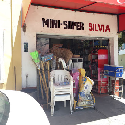 Mini Super Silvia, , Tecomán