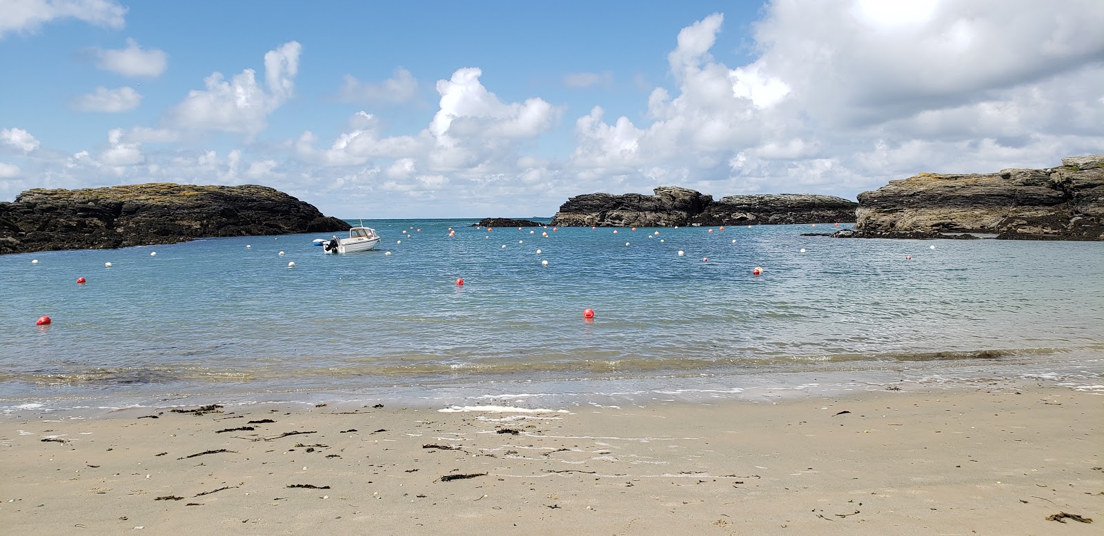 Porth Diana beach'in fotoğrafı vahşi alan