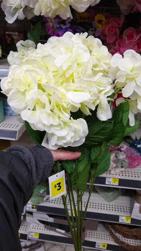 Discount Store «Dollar General», reviews and photos, 36 Winter Place Lane, Newland, NC 28657, USA