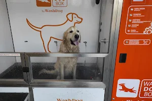 ID dog wash samoobsługowa myjnia dla psów image