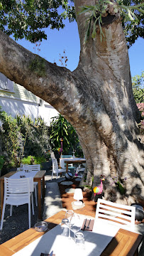 Photos du propriétaire du Bistro L'Arbre à Palabres à Entre-Deux - n°12