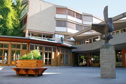 Rudolf Steiner Schule Basel