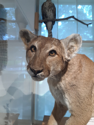 Natural History Museum «George B. Dorr Museum of Natural History», reviews and photos, 105 Eden St, Bar Harbor, ME 04609, USA