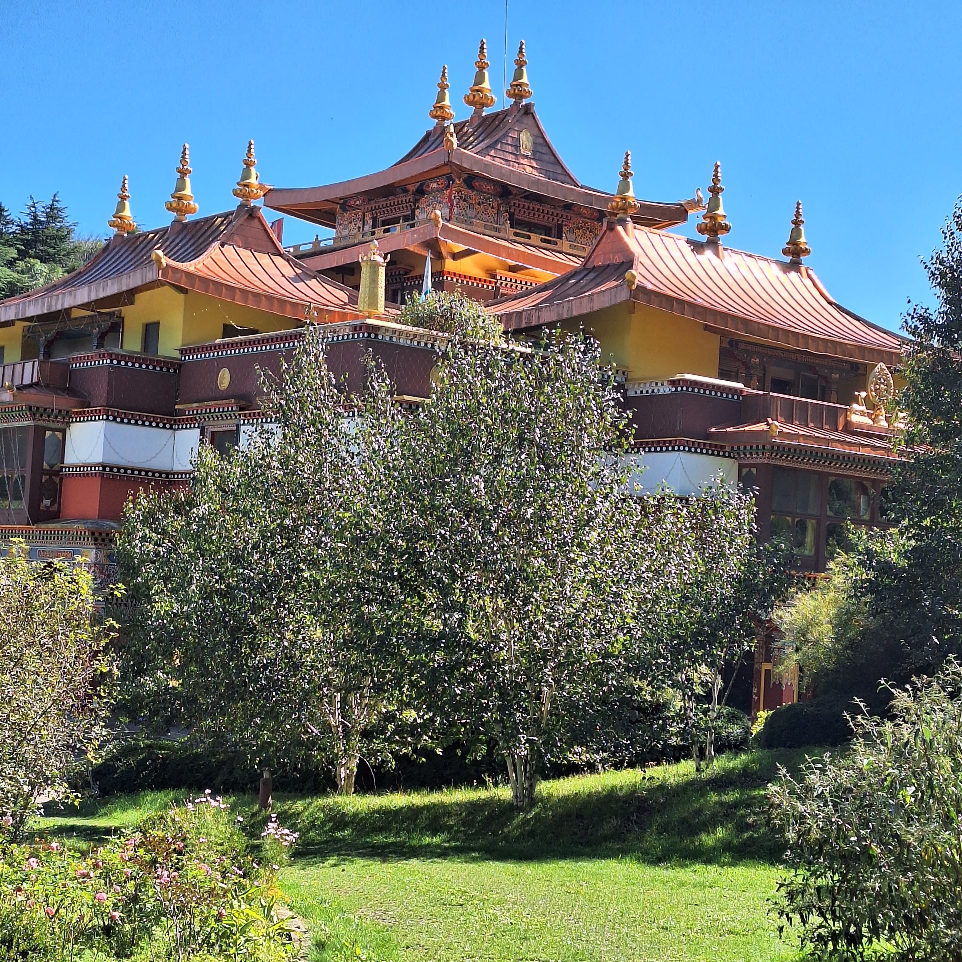 Photo n° 1 de l'avis de Nadine.H fait le 15/10/2023 à 21:15