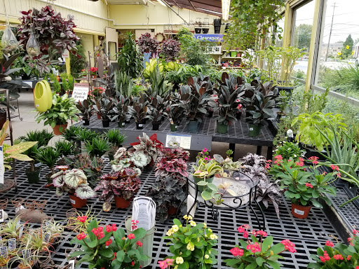 Supermarket «Stauffers of Kissel Hill», reviews and photos, 1850 Oregon Pike, Lancaster, PA 17601, USA