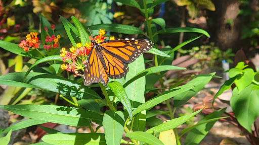 Community Park «Summerfield Community Park», reviews and photos, 6402 Lakewood Ranch Blvd, Bradenton, FL 34202, USA