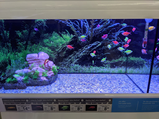 Pet Supply Store «Petco Animal Supplies», reviews and photos, 1919 El Camino Real, Mountain View, CA 94040, USA