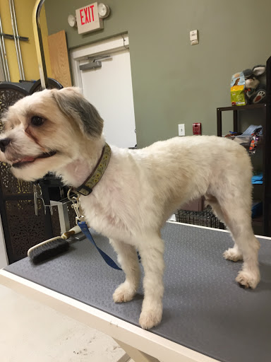 Pet Supply Store «Pawsitively Healthy Pet Supply», reviews and photos, 5238 FL-64, Bradenton, FL 34208, USA