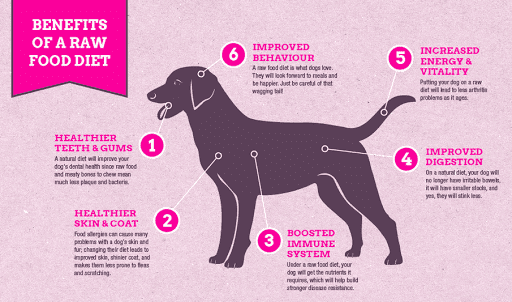 Pet Store «Woof Gang Bakery & Grooming Aberdeen», reviews and photos, 1121 NJ-34, Aberdeen Township, NJ 07747, USA