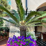 Photo n°1 de l'avis de Rita.. fait le 08/07/2023 à 20:21 sur le  Hotel Punta Est à Finale Ligure