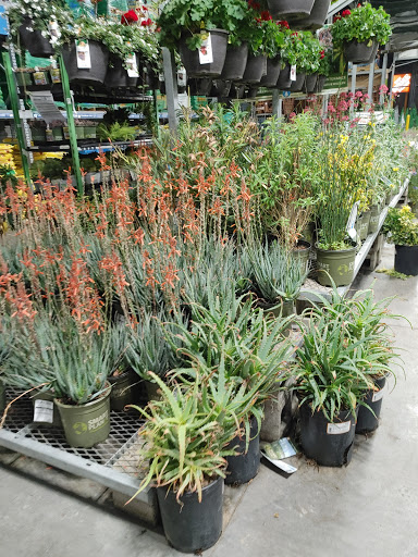 Home Improvement Store «The Home Depot», reviews and photos, 2115 N Gaffey St, San Pedro, CA 90731, USA