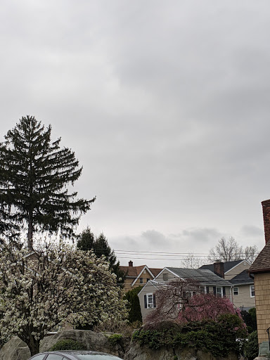 Supermarket «The Harrison Market», reviews and photos, 355 Halstead Ave, Harrison, NY 10528, USA