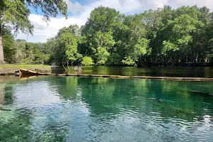 Rum Island Springs County Park image