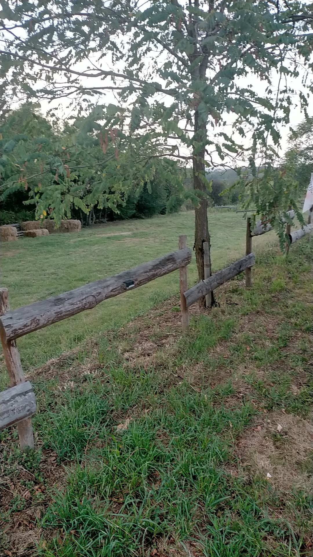Photo n° 1 de l'avis de Denis.h fait le 17/09/2023 à 05:58