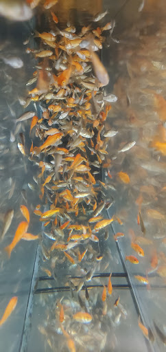 Pet Supply Store «Petco Animal Supplies», reviews and photos, 12014 SW 88th St, Miami, FL 33186, USA