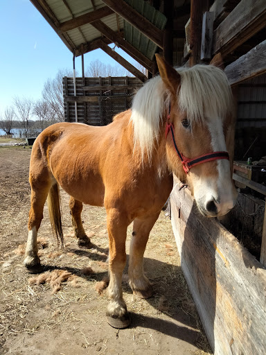 Produce Market «Natura Farms», reviews and photos, 19060 Manning Trail N, Marine on St Croix, MN 55047, USA