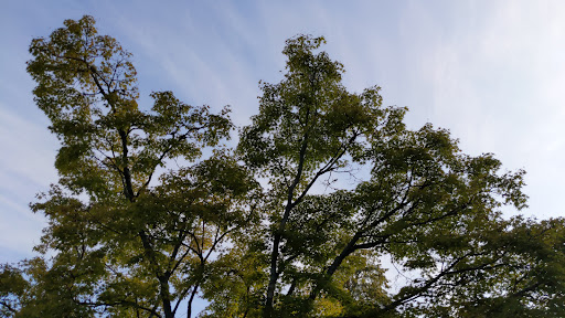 Park «Pullen Park», reviews and photos, 408 Ashe Ave, Raleigh, NC 27606, USA