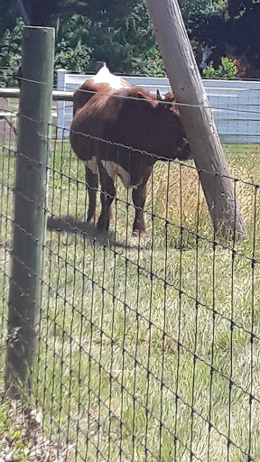 Shopping Mall «Lafayette Crossing», reviews and photos, 35 Lafayette Rd, North Hampton, NH 03862, USA