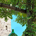 Photo n°1 de l'avis de M... fait le 14/10/2023 à 18:56 sur le  Burgschenke Hocheppan à Eppan an der Weinstraße