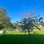 Photo n°10 de l'avis de Barbara.i fait le 06/10/2021 à 16:56 sur le  Agriturismo la galizia à Cuggiono