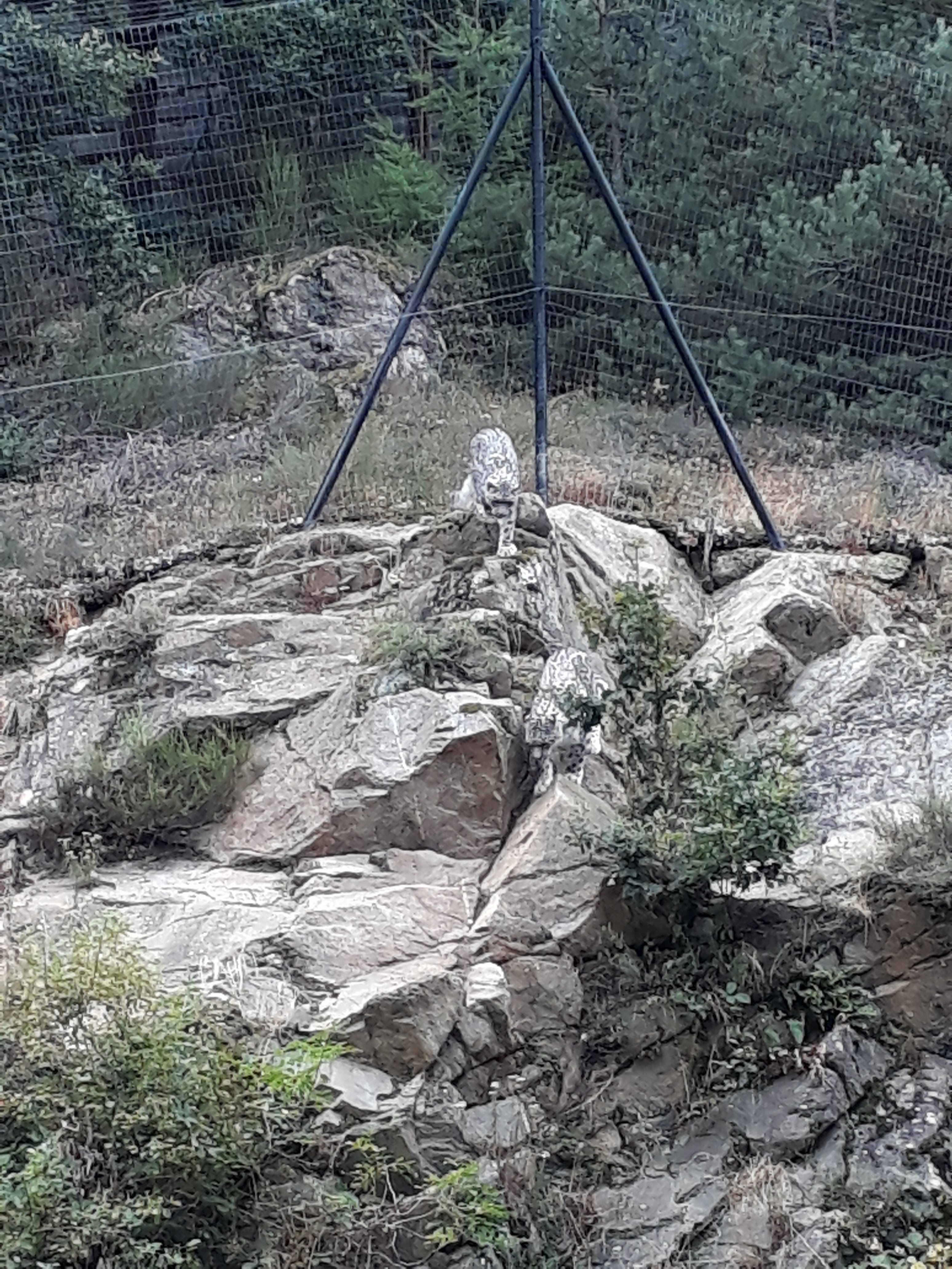 Photo n° 21 de l'avis de Stef.e fait le 15/08/2018 à 14:06