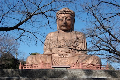 聚楽園公園 キャンプ場