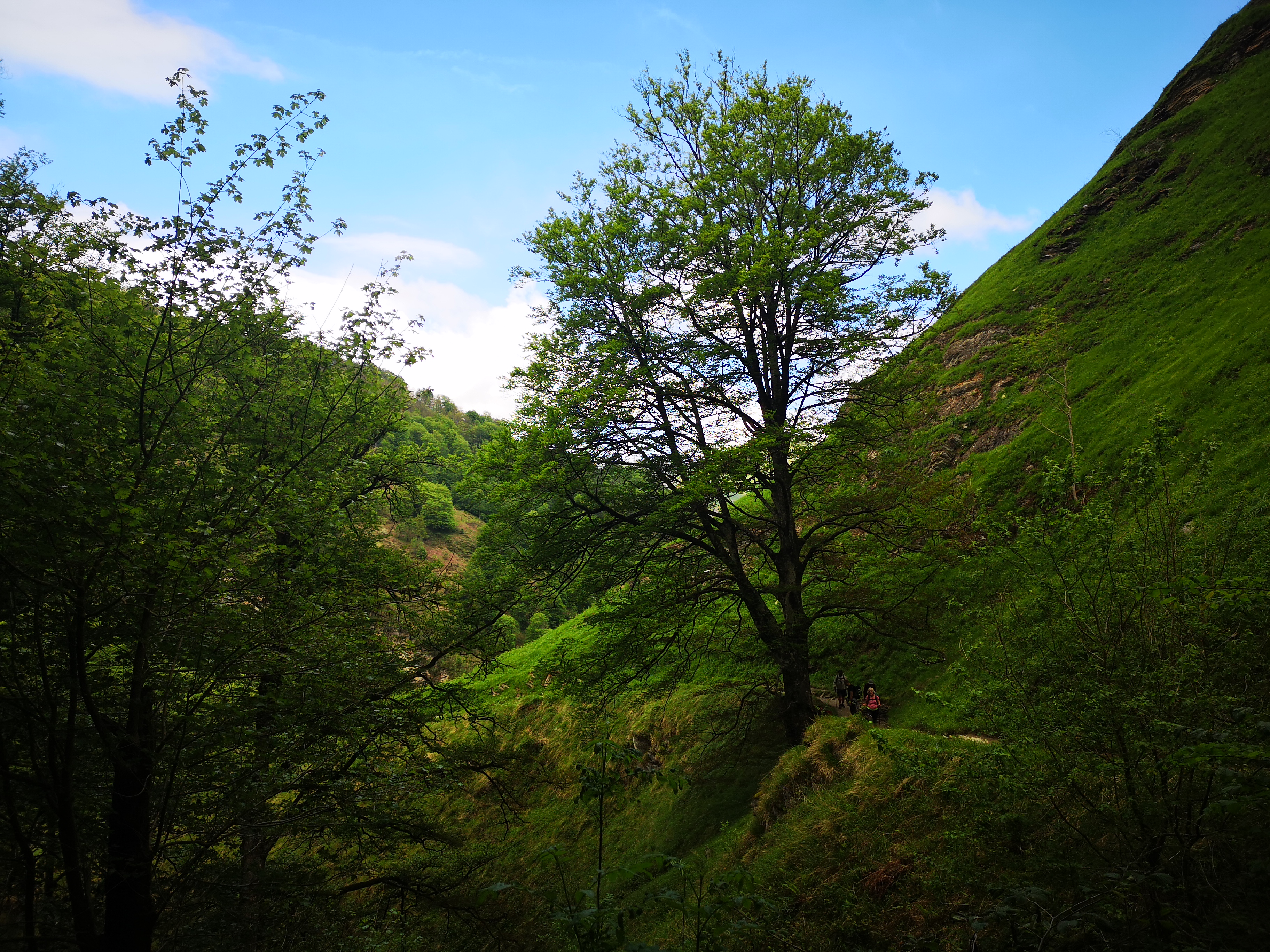 Photo n° 13 de l'avis de Chrystèle.e fait le 14/05/2019 à 05:31