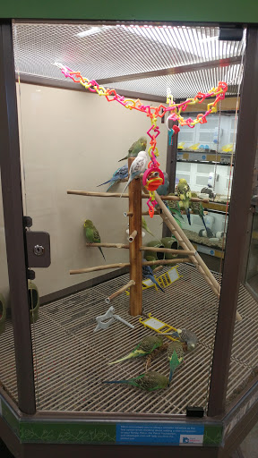 Pet Supply Store «Petco Animal Supplies», reviews and photos, 911 N Stratford Rd c, Moses Lake, WA 98837, USA