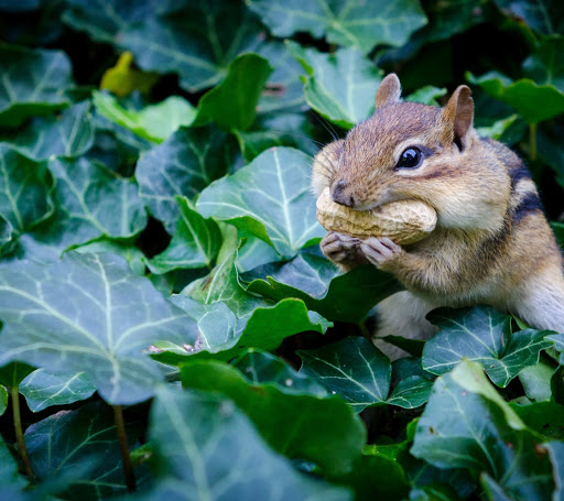 Auto Parts Store «Advance Auto Parts», reviews and photos, 6011 E Black Horse Pike, Egg Harbor Township, NJ 08234, USA