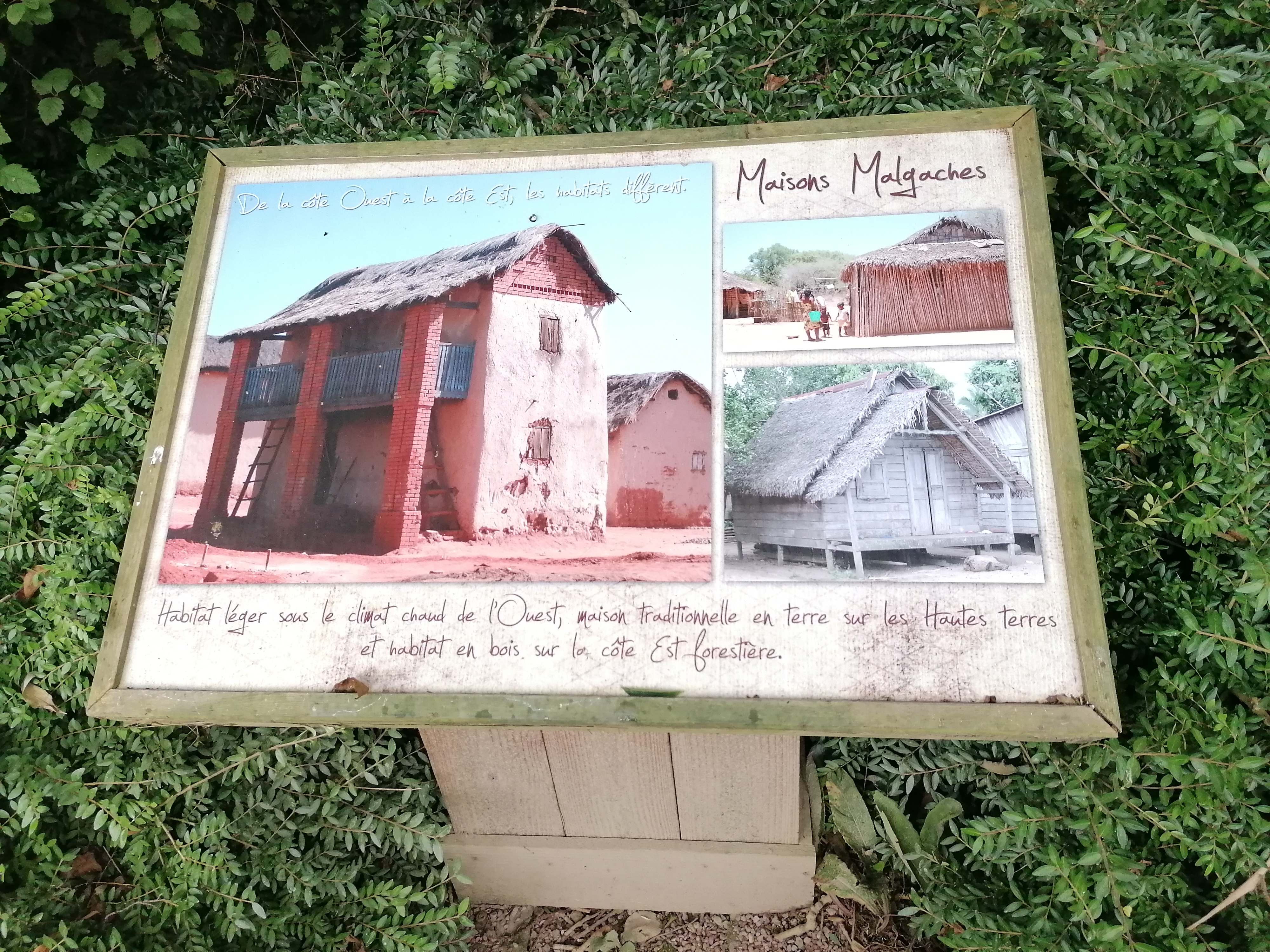 Photo n° 10 de l'avis de Blaise.a fait le 11/08/2023 à 11:31
