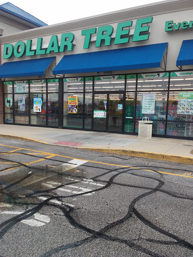 Dollar Store «Dollar Tree», reviews and photos, 1154 Hinkle Dr a, Wadsworth, OH 44281, USA
