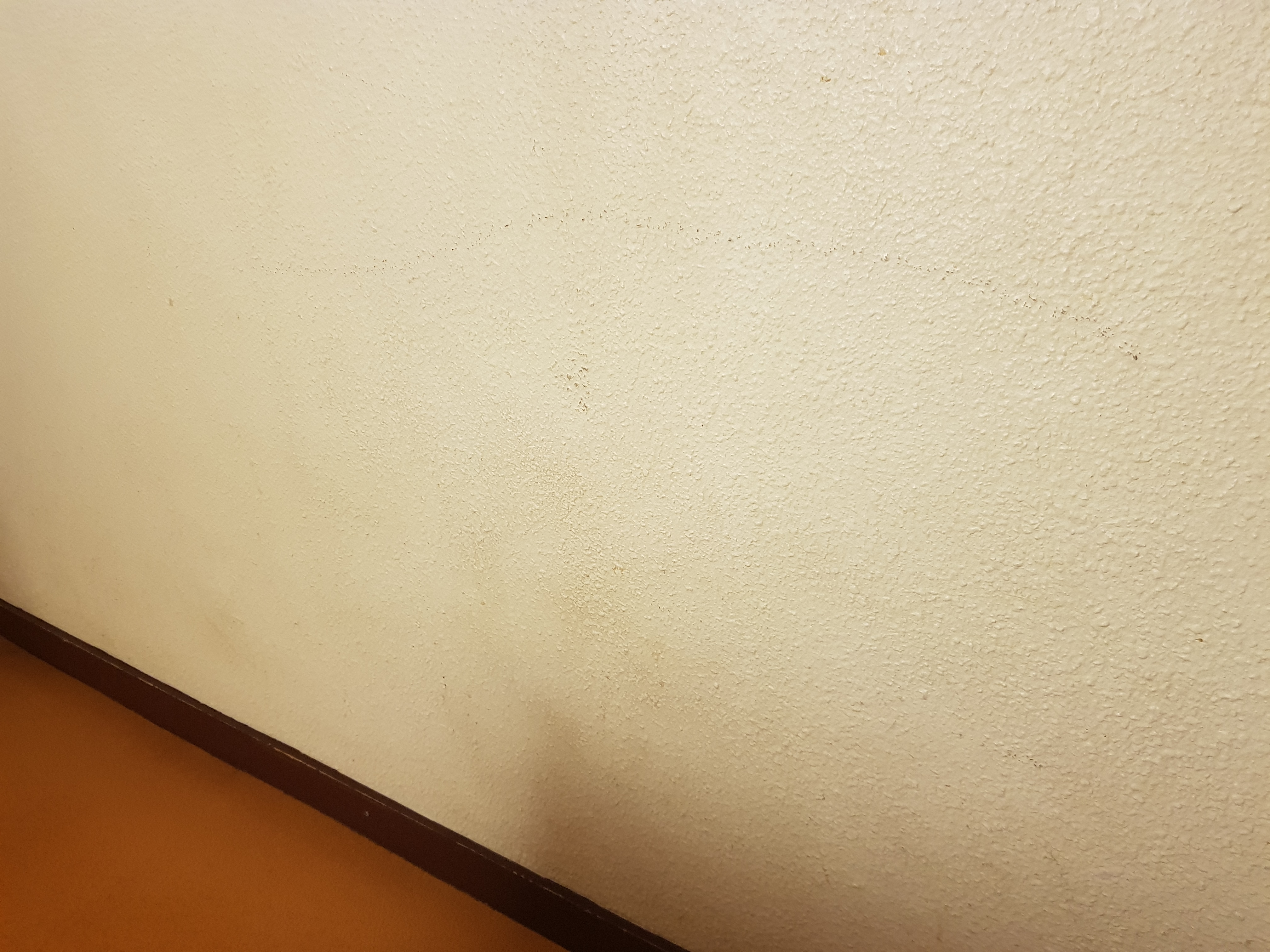 Photo n° 7 de l'avis de Valérie.a fait le 13/07/2018 à 06:51