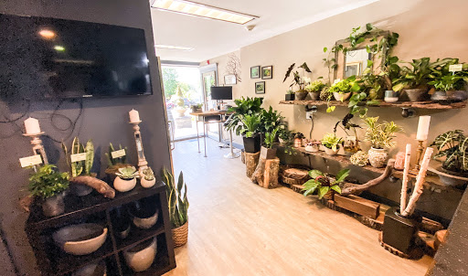 Florist «Urban Floral», reviews and photos, 671 Meriden Rd, Waterbury, CT 06705, USA