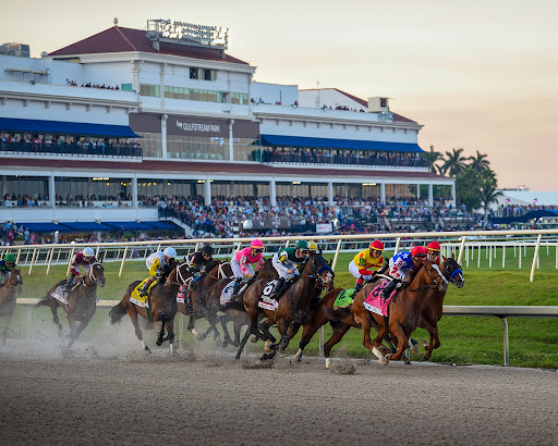 Racecourse «Gulfstream Park Racing and Casino», reviews and photos, 901 S Federal Hwy, Hallandale Beach, FL 33009, USA
