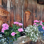 Photo n°7 de l'avis de cristiana.e fait le 08/09/2023 à 20:09 sur le  Melager Alm à Melago