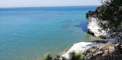 Photo de Hamster's Bay et le règlement