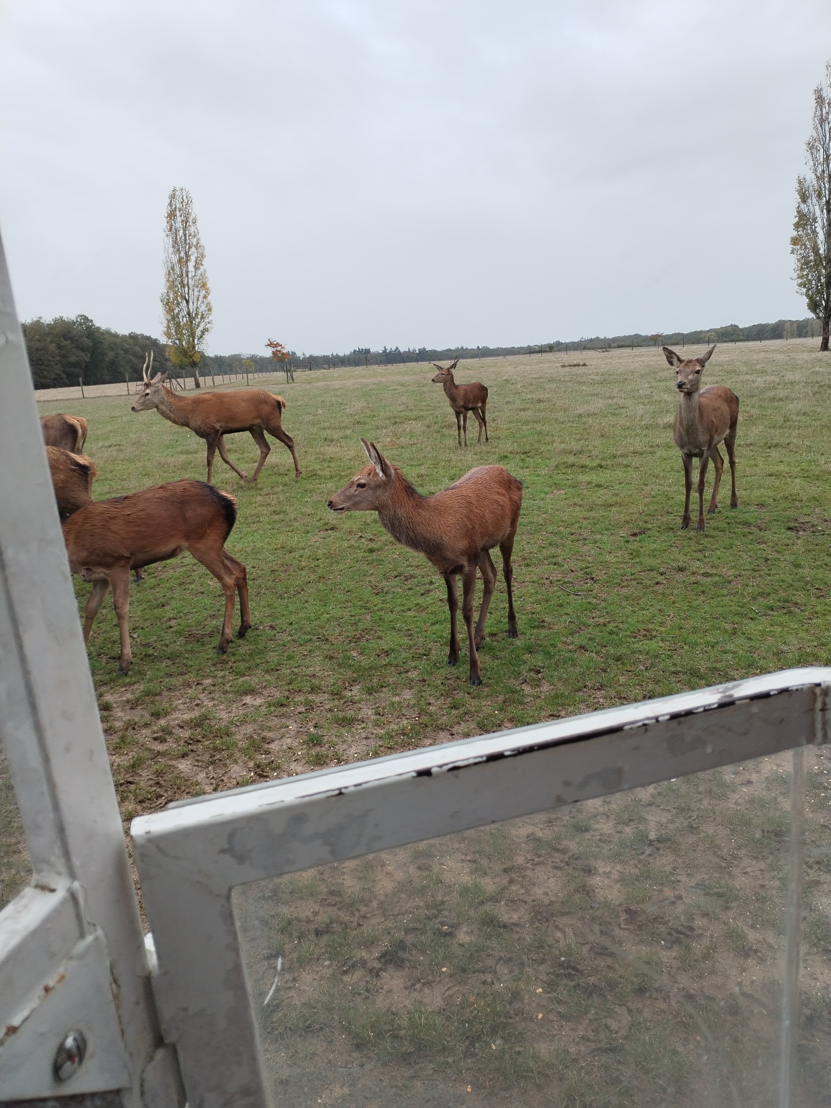 Photo n° 2 de l'avis de Xyvi. fait le 28/10/2023 à 16:10