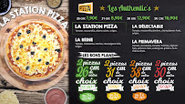 Carte du Station Pizza Monplaisir Lumière à Lyon