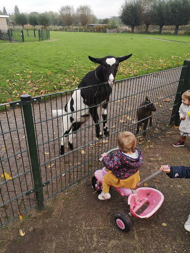 Kinderboerderij De Wilgenhof