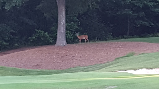 Banquet Hall «Cherokee Run Golf Club», reviews and photos, 1595 Centennial Olympic Pkwy, Conyers, GA 30013, USA
